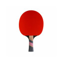 Conrilleau Excell Carbon 3000 table tennis bats