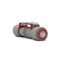 Reebok dumbbells 2x1kg RAWT-11061RD