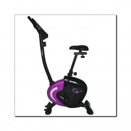 Purple magnetic bike HMS M9239V