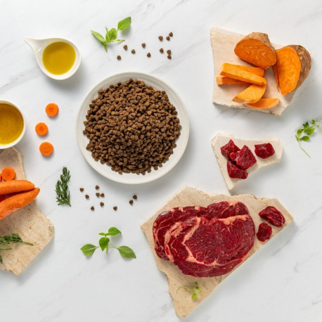 VETEXPERT väikest tõugu kutsikate kuivtoit Raw Paleo Ultra Mini Puppy veiselihaga 2kg