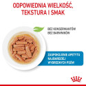 ROYAL CANIN SHN Medium kutsikatoit kastmes - märg kutsikatoit - 10x140g