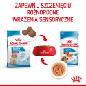 ROYAL CANIN SHN Medium kutsikatoit kastmes - märg kutsikatoit - 10x140g