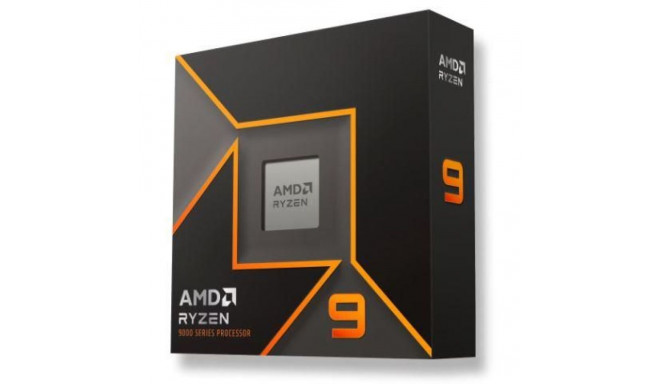 Protsessor AMD AMD Ryzen R9-9900X