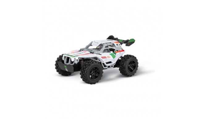 RC Car Team Rider 2,4GHz