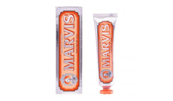 Toothpaste Daily Protection Ginger Mint Marvis