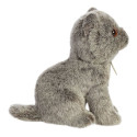 AURORA Miyoni pehme mänguasi Scottish fold kass, 22 cm