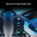 Aula F101 TWS Mängu Stereo Bluetooth 5.0 Juhtmevabad Hi-Fi Kõrvaklapid HD Mikrofoni Laadimiskohvris 