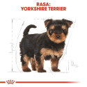 Dog Food - Royal Canin Yorkshire Terrier Puppy 7.5kg