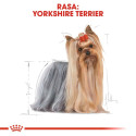 Dog Food - Royal Canin Yorkshire Terrier Adult 85g