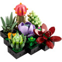 Constructor - LEGO ICONS 10309 Succulents 18+