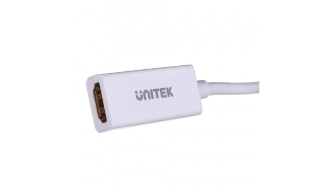 HDMI Converter - Unitek Y-6331