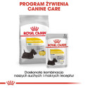 Wet Dog Food - ROYAL CANIN Dermacomfort