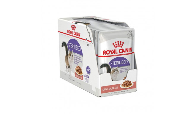 Wet Cat Food - Royal Canin