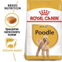 Dog Food - Royal Canin Poodle 1.5 Kg