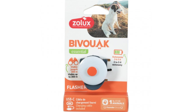 Dog ID Tag - ZOLUX BIVOUAK LED USB Charging Blue