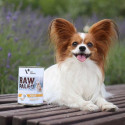 Wet Dog Food - RAW PALEO Monoprotein Turkey 800g Grain-Free