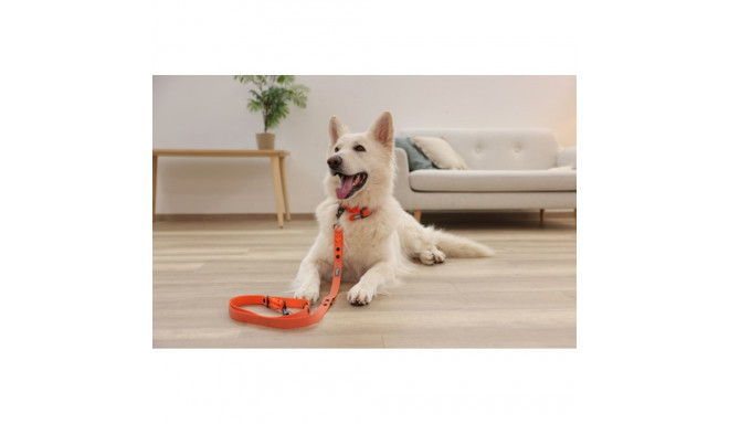 Dog Leash - Kerbl Puno Training Lead 200cm 2.5cm Reflective Orange