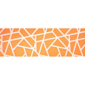 Dog Leash - Kerbl Puno Training Lead 200cm 2.5cm Reflective Orange