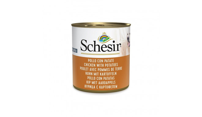 Wet Dog Food - Schesir Chicken with Potatoes 285g Gluten-Free