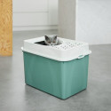 Cat Litter Box - Rotto Berty Eco Green