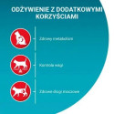Dry Cat Food - Purina One Sterilcat Beef 9.75kg
