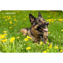 Mouse Pad - Esperanza Ea133 Multicolor