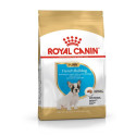 Dry Dog Food - Royal Canin French Bulldog Puppy