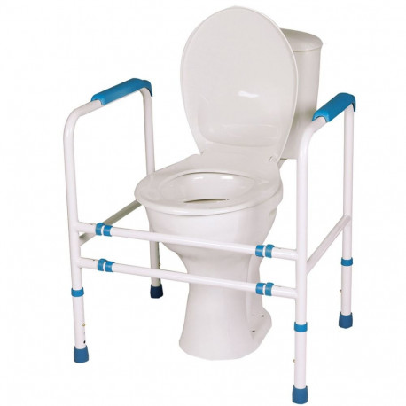 Toilet Seat Stand - Toto 4 Handrail Stand Silver