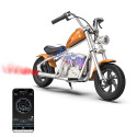 Electric Motorcycle - Xrider Cruiser 12