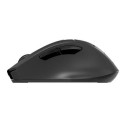 A4Tech Fstyler FG30S mouse Right-hand USB Type-A Optical 2000 DPI