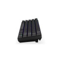 ENDORFY Thock Compact keyboard RF Wireless QWERTY English Black