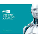ESET Endpoint Protection Advanced Security management Base 1 year(s)