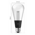 "Philips Hue White & Color Ambiance Lightguide Giant Edison ST72 E27"