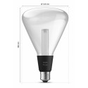 "Philips Hue White & Color Ambiance Lightguide Triangle E27"