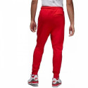 Jordan Essentials Fleece Pants M CV8347-657 (3XL)