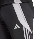 Adidas Tiro 24 WInterized M pants IM9974 (S)