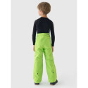 Ski pants 4F Jr 4FJWAW24TFTRM654-41S (146)