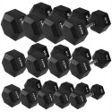 HMS dumbbell HEX PRO 6kg