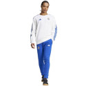 Adidas Real Madrid DNA Panty M IT3799 pants (M)