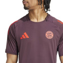 Adidas FC Bayern Training JSY M IS9935 T-shirt (M)
