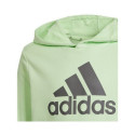 Adidas Big Logo Hoodie Jr IS2591 sweatshirt (140 cm)