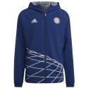 Jacket adidas FC Bayern GR WB M HT8828 (S) Jacket adidas FC Bayern GR WB M HT8828 (S)