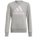 Sweatshirt adidas Big Logo Swt Jr HM8706 (134 cm) Sweatshirt adidas Big Logo Swt Jr HM8706 (134 cm)
