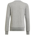 Sweatshirt adidas Big Logo Swt Jr HM8706 (134 cm) Sweatshirt adidas Big Logo Swt Jr HM8706 (134 cm)