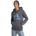 Sweatshirt adidas Big Logo FL R HD W IC9845 (XS)