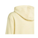 Adidas Badge of Sport Hoodie Jr HN8469 (164 cm)
