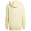 Adidas Badge of Sport Hoodie Jr HN8469 (164 cm)