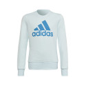 Sweatshirt adidas Big Logo Swt Jr HM8707 (152 cm)