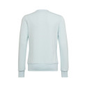 Sweatshirt adidas Big Logo Swt Jr HM8707 (152 cm)