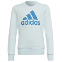 Sweatshirt adidas Big Logo Swt Jr HM8707 (152 cm)